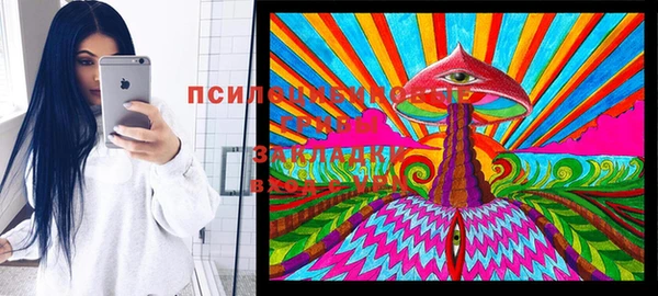эйфоретик Алексин