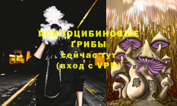 2c-b Алзамай